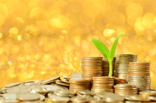 如何选股票（四）